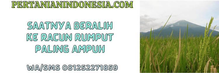 jual,murah,terjangkau,toko pertanian terdekat,pertanian indonesia